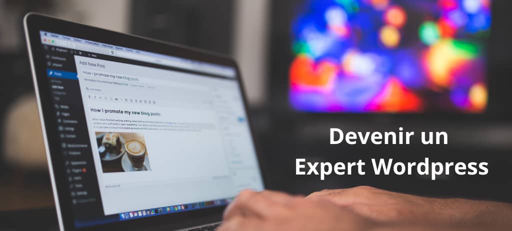 devenir expert wordpress